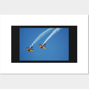 Biplanes Posters and Art